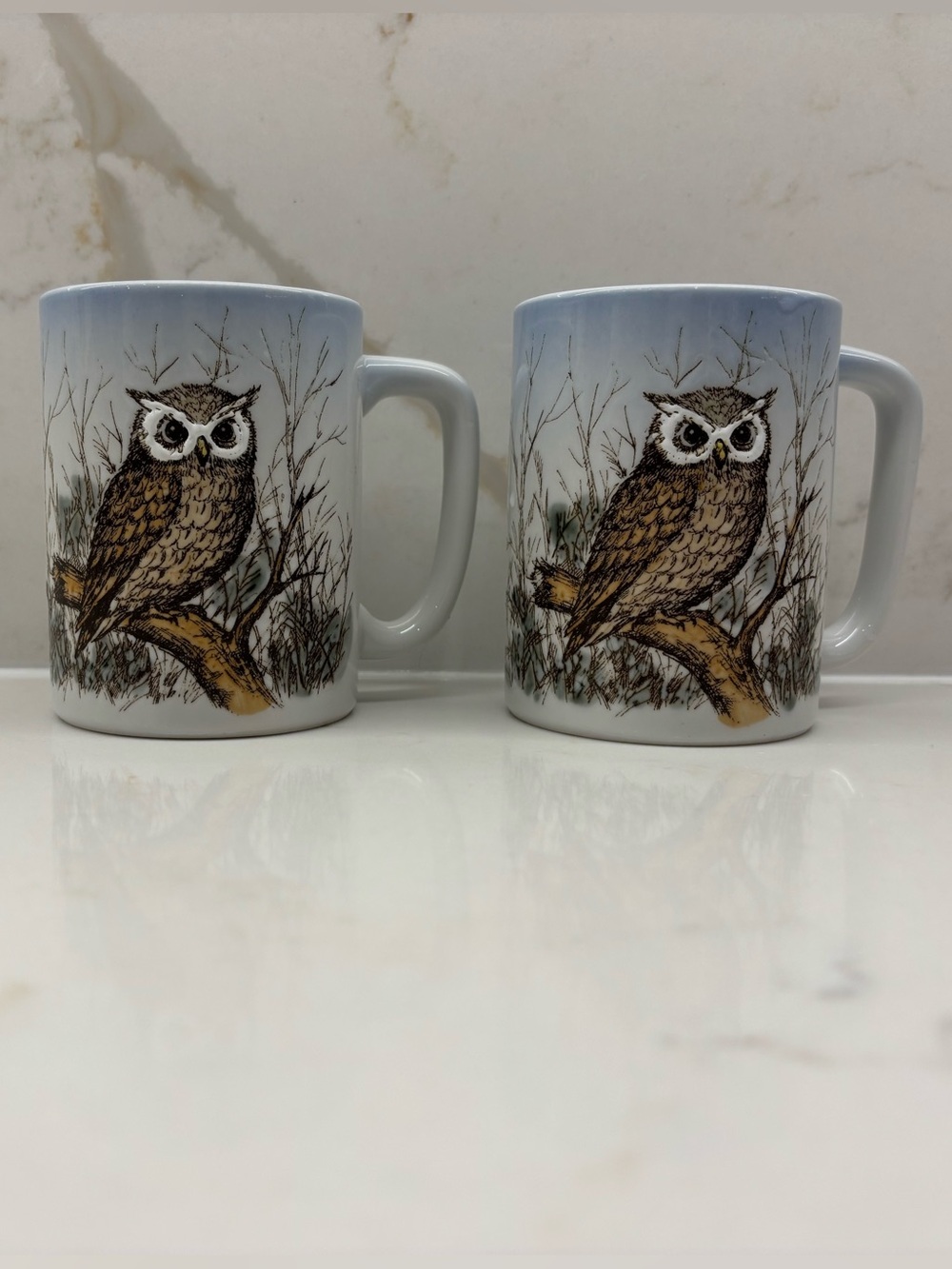 Pair of Vintage Otagiri Embossed Owl Mugs in Natural Setting Never Used